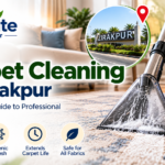 Professional Carpet Cleaning in Zirakpur